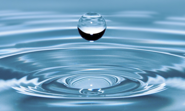 Reduce your water and energy consumption